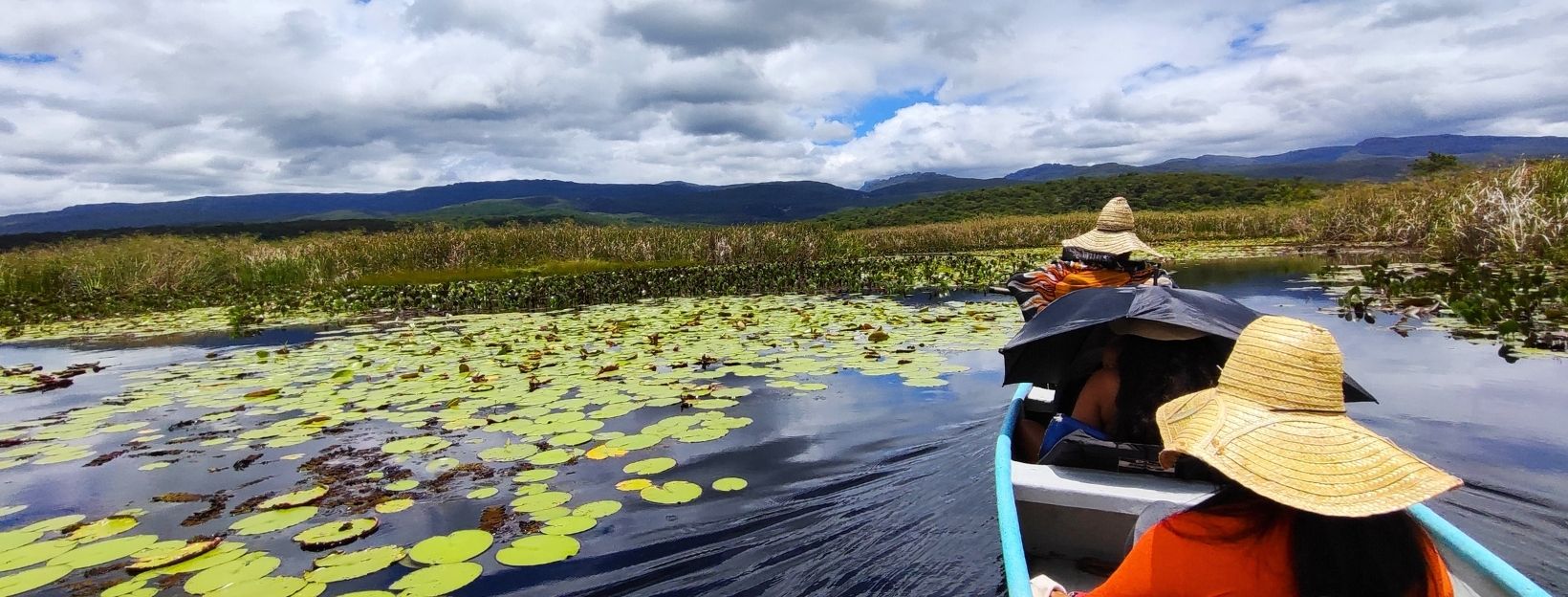 Pantanal Marimbus